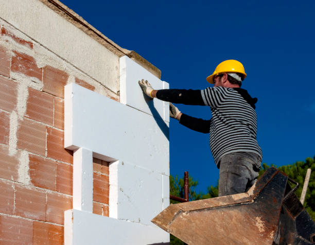 Best Cellulose Insulation  in Burnsville, NC