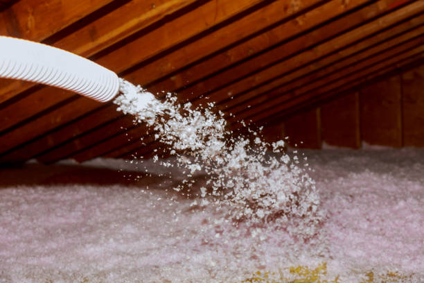 Best Residential Insulation Services  in Burnsville, NC