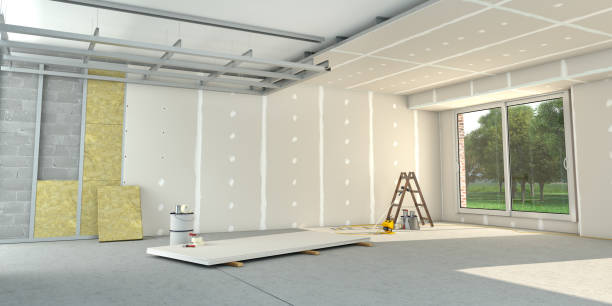 Best Insulation Removal  in Burnsville, NC