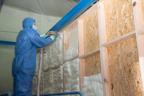 Best Residential Insulation Services  in Burnsville, NC