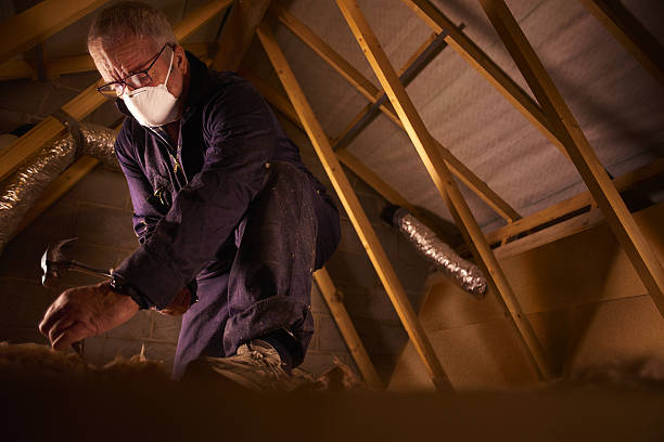 Best Insulation Repair Services  in Burnsville, NC