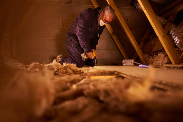 Best Home Insulation Services  in Burnsville, NC